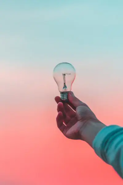 Paradox Digital - WordPress Design and Development in Surrey