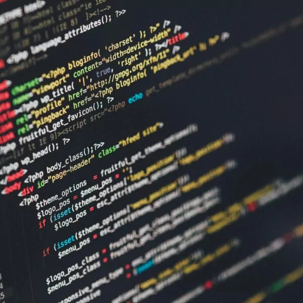 Wordpress Development